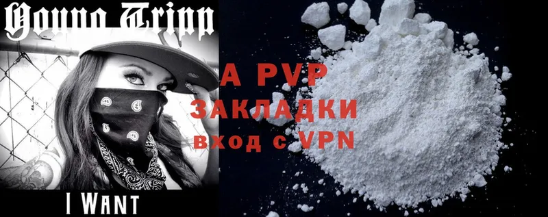 A PVP СК  Санкт-Петербург 